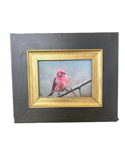 Fine Art Photography - Purple Finch