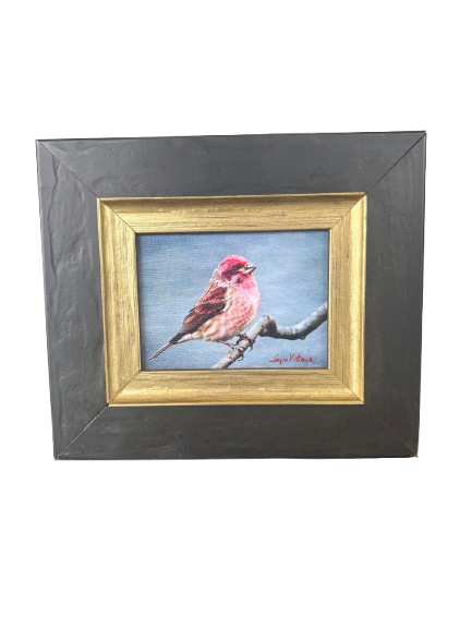 Fine Art Photography - Purple Finch II