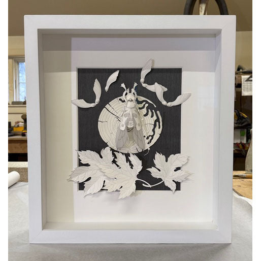 Framed I