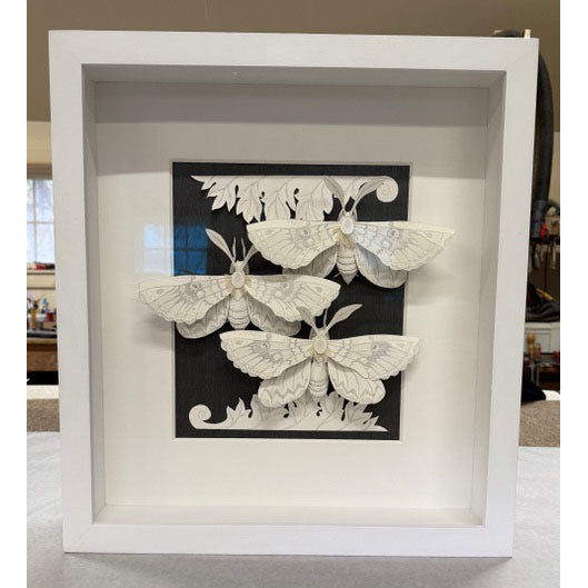 Framed III