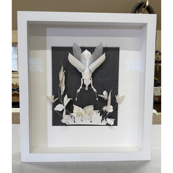 Framed IV