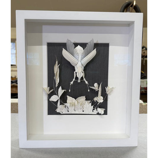 Framed IV