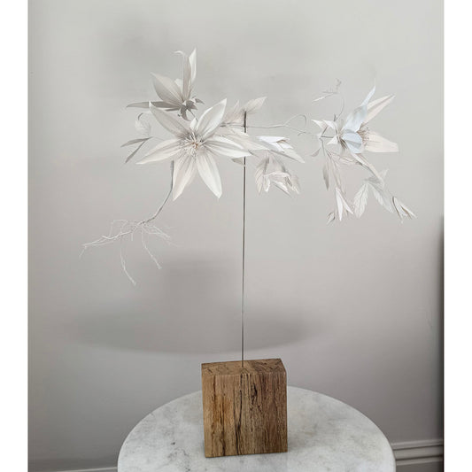 Clematis II