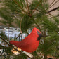 Cardinal Ornament on Copper Wire