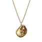 Oyster and Pearl Necklace