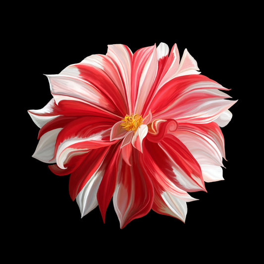 "Pinwheel"