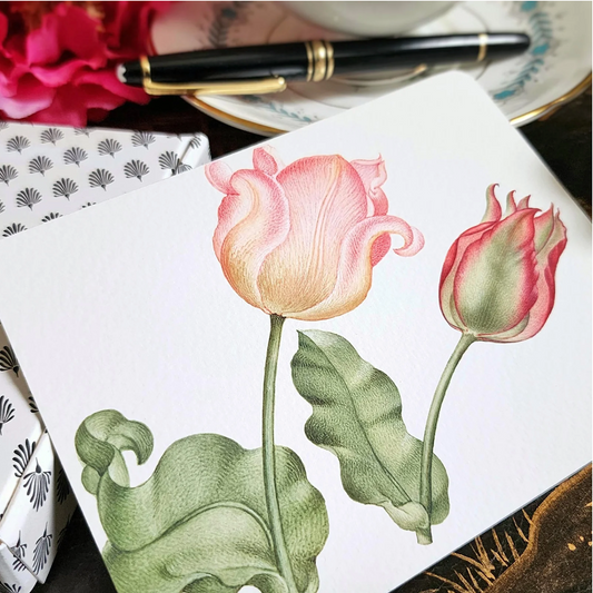 "Parrot Tulips" Note Card