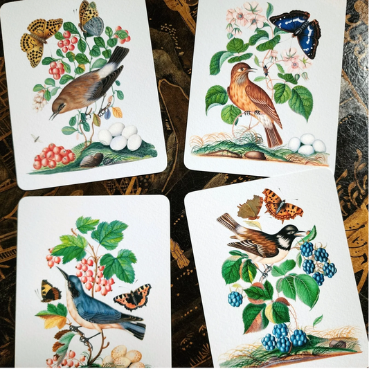 Lavender "Birds, Berries and Butterflies" Note Cards Mr. P's Place Card Co.