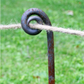 Fiddlehead Garden Stake