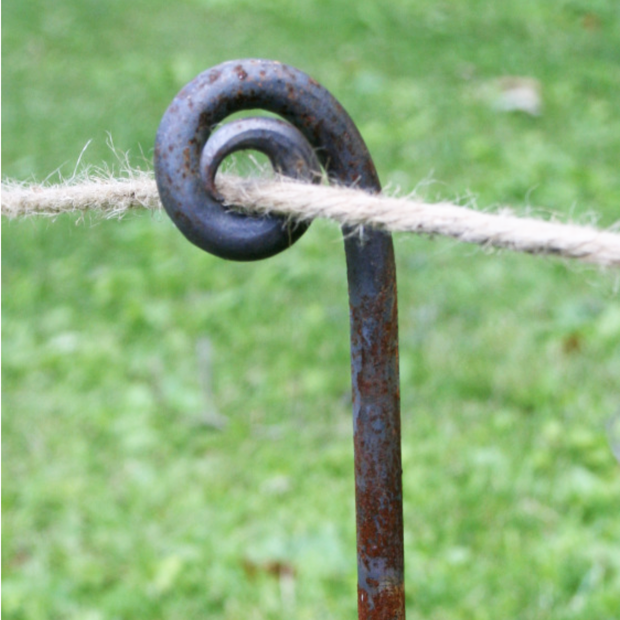 Fiddlehead Garden Stake