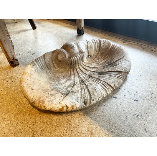 Iron Shell Bird Bath