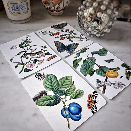 "Signs of Spring" Note Cards