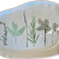 Herb Tray