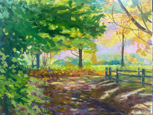 Sunshine through the Trees