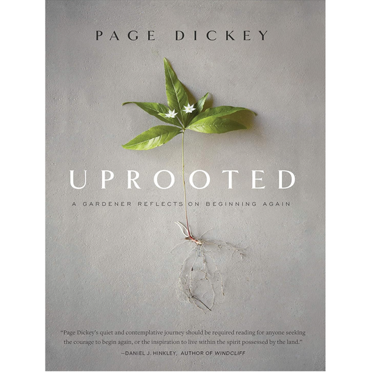 Uprooted: A Gardener Reflects on Beginning Again