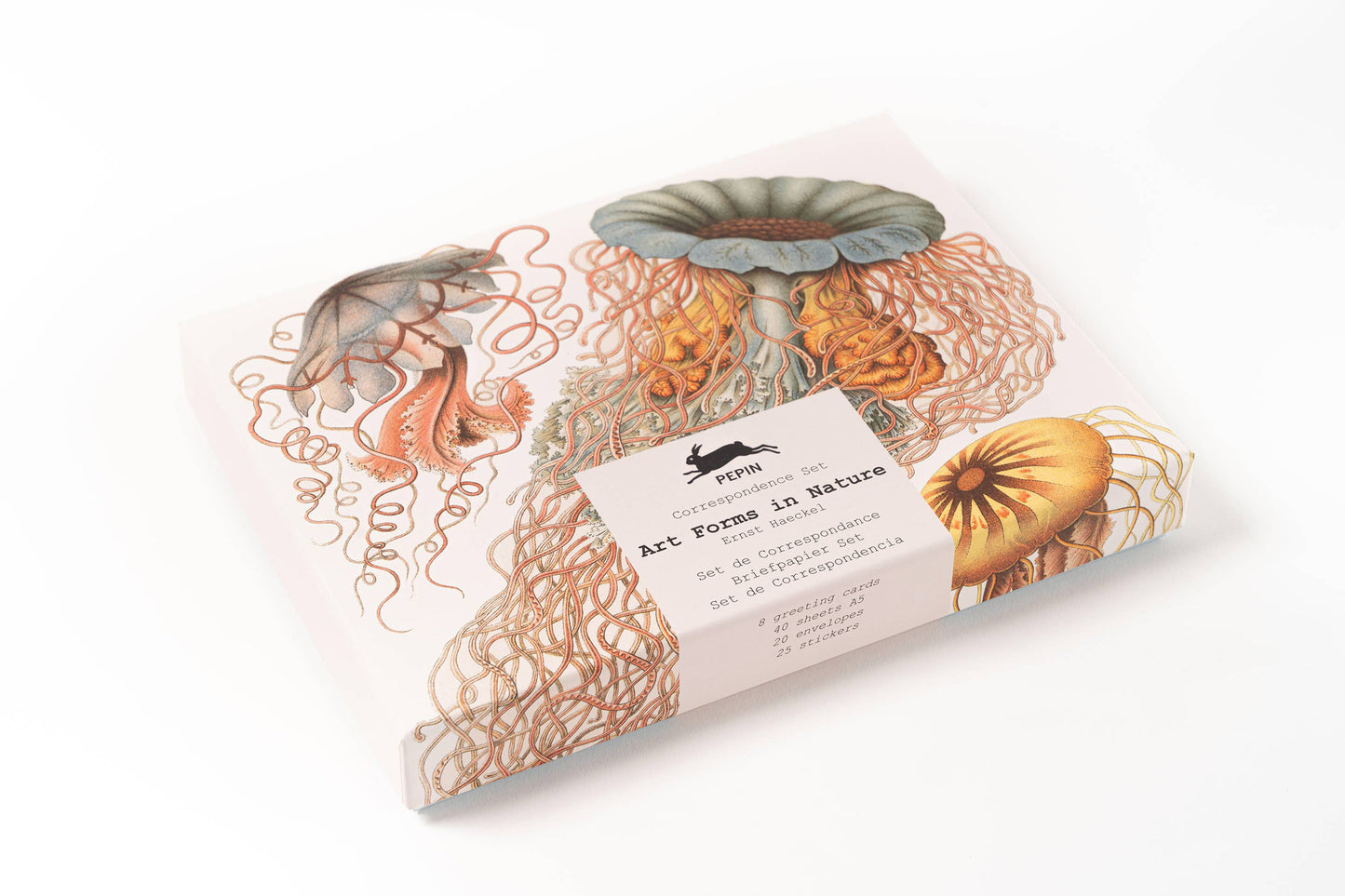 Art Forms in Nature Correspondence Set