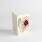 Light Gray Botanical Correspondence Set 100 Main