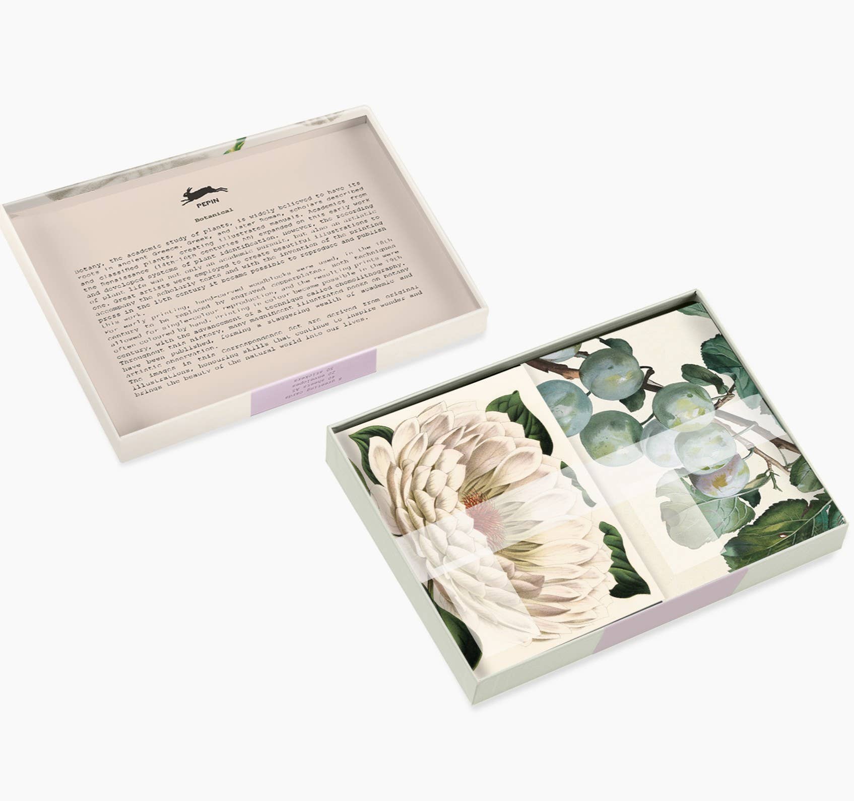 White Smoke Botanical Correspondence Set 100 Main