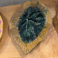 Majolica Begonia Leaf Shaped Dish