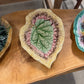 Majolica Begonia Leaf Shaped Dish