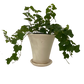 Dark Olive Green #6 Pot with Saucer - White Ben Wolff