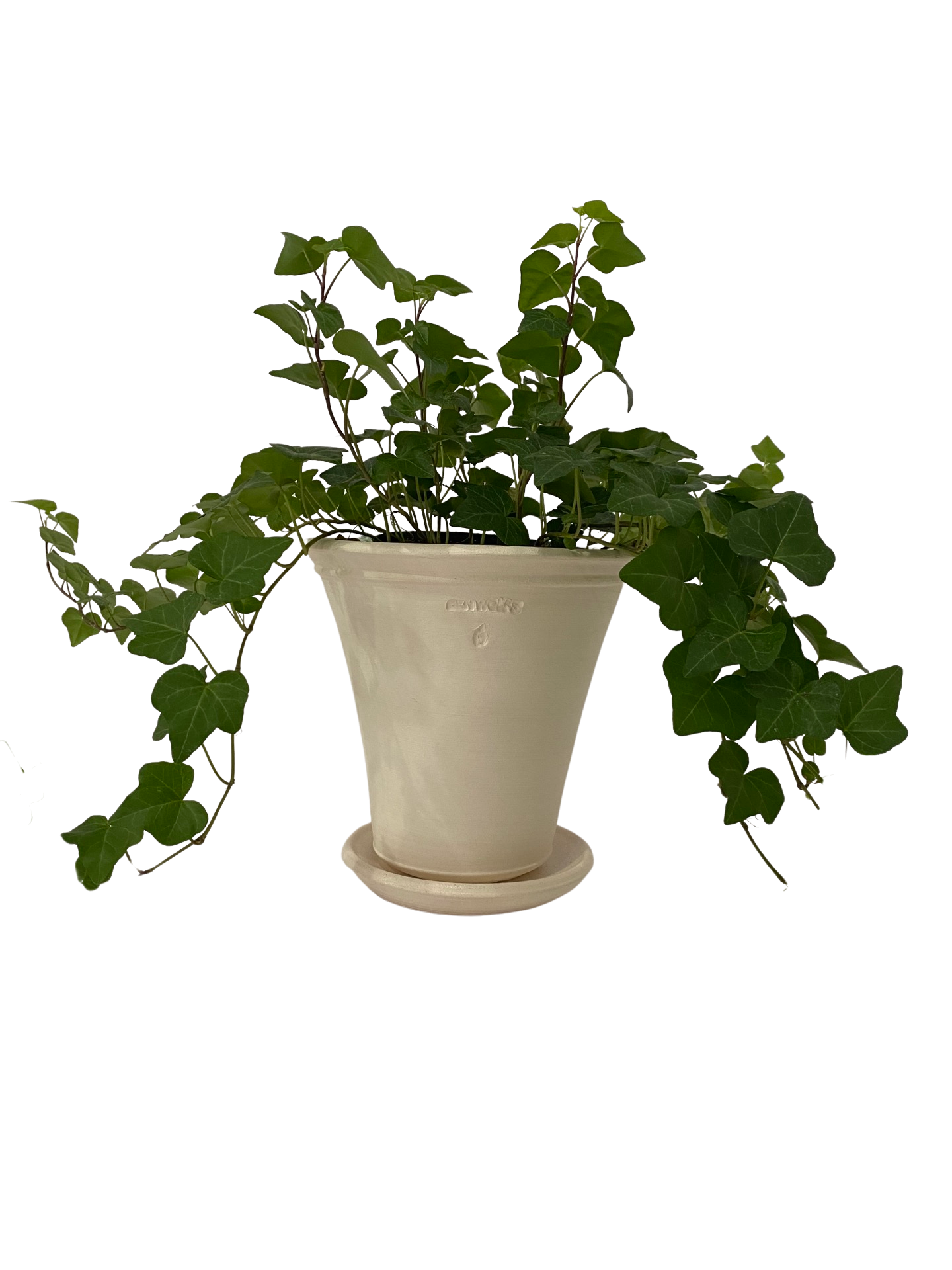 Dark Olive Green #6 Pot with Saucer - White Ben Wolff