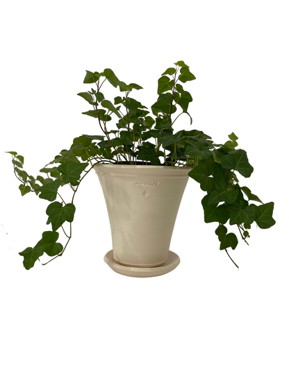 Dark Olive Green #6 Pot with Saucer - White Ben Wolff