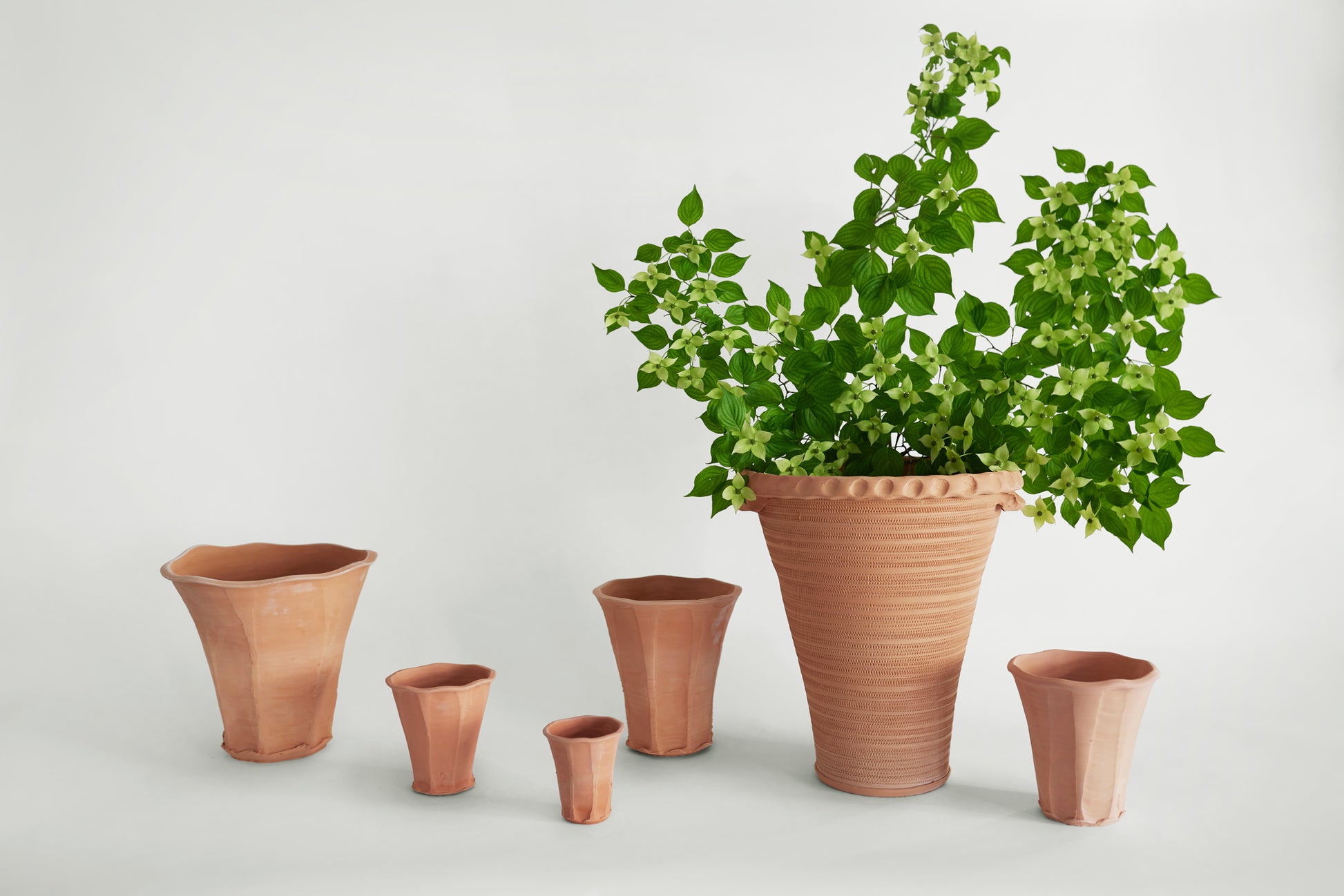 tall clay pots for plants Daniel Bellow Garden Pot